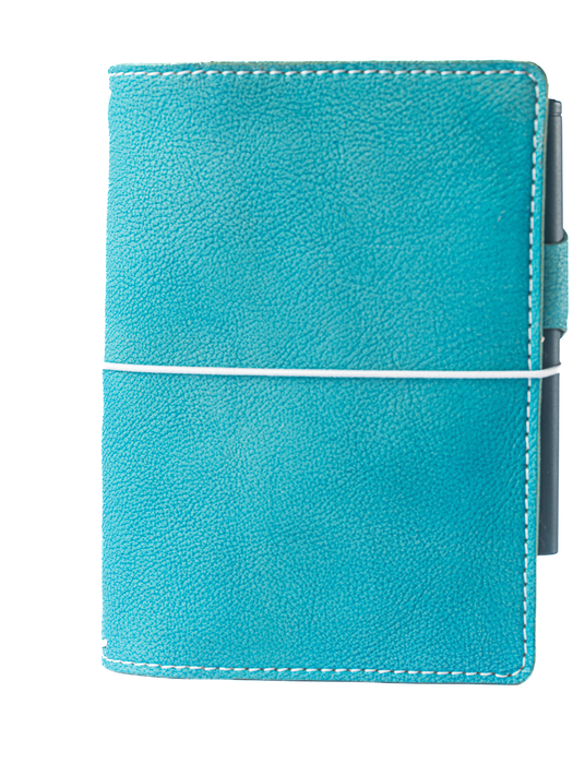 Gemini | Cascade | Full Grain Leather Traveler's Notebook with Pockets