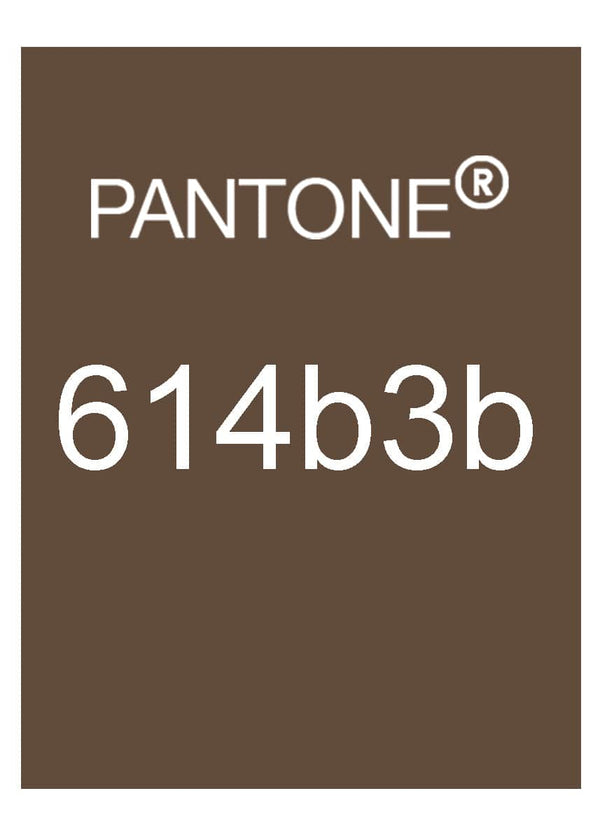 Brown leather travelers notebook color comparison. Pantone 614b3b color match.