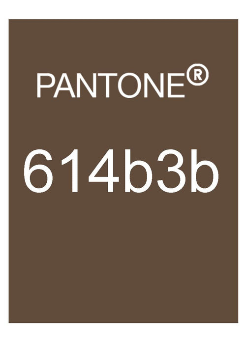 Brown leather travelers notebook color comparison. Pantone 614b3b color match. 